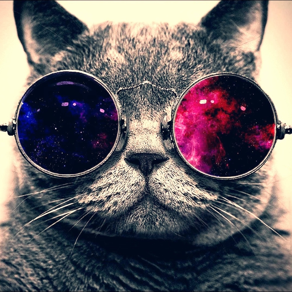 Meet your Posher, Uri